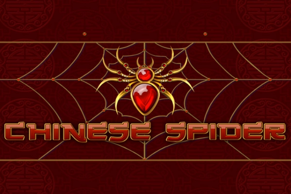 00212 chinese spider