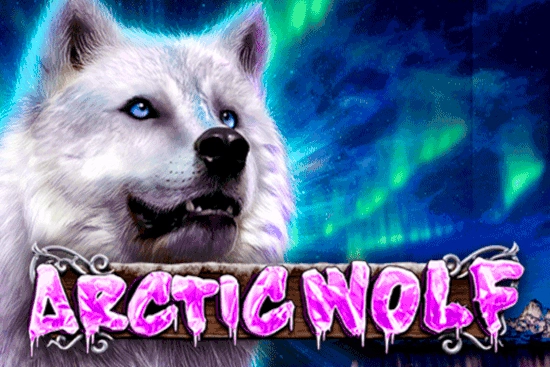 08828 arctic wolf