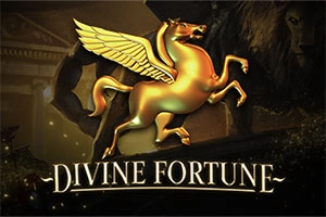14667 divine fortune